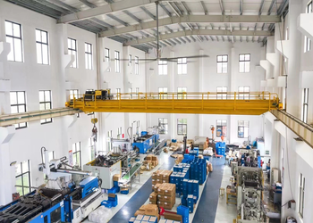 European-Style Bridge Crane product image 4