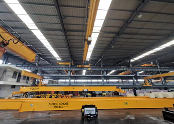 HD European Single Girder Crane product image 3