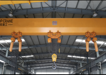 Multi-Chain Hoist Single Girder Crane product image 2