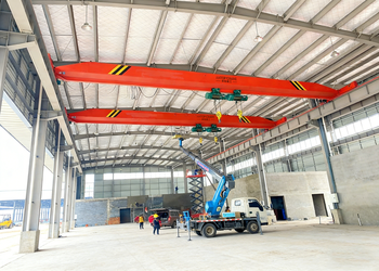 LDE Double Hoist Single Girder Crane