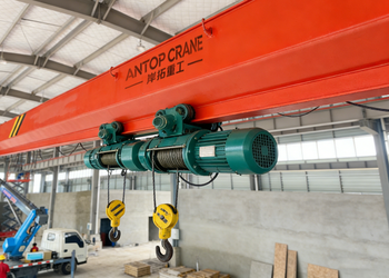 LDE Double Hoist Single Girder Crane product image 2