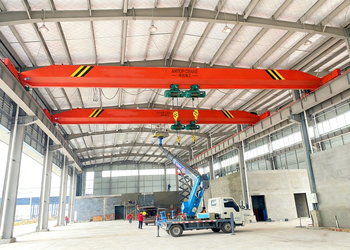 LDE Double Hoist Single Girder Crane product image 3