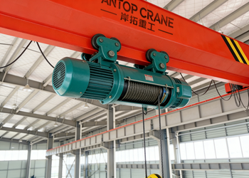 LDE Double Hoist Single Girder Crane product image 4