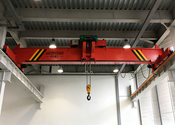 LDP Type Electric Single Girder (Partial hanging) Crane product image 3