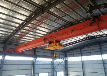 LDY Type Metallurgical Overhead (Single Girder) Crane product image 4