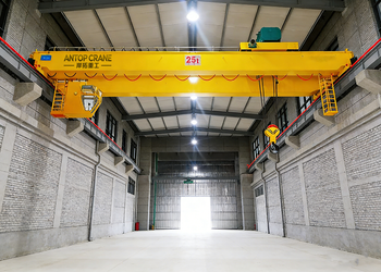 LH Double Girder Bridge Crane product image 3