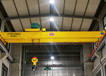 LH Double Girder Bridge Crane product image 4