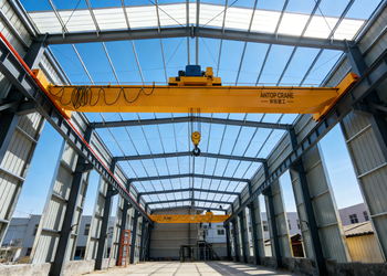 LHB Double Hoist Explosion-Proof Bridge Crane product image 4