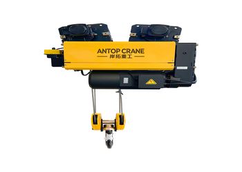 HD Ring Rail / Single Rail Electric Hoist product image 3