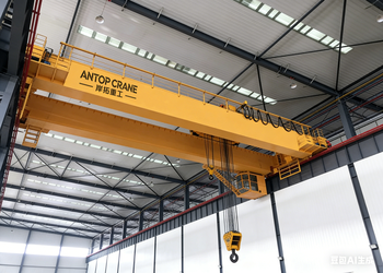 QD General Purpose Double Girder Crane product image 2